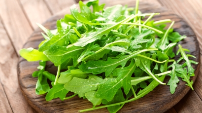 Rucola